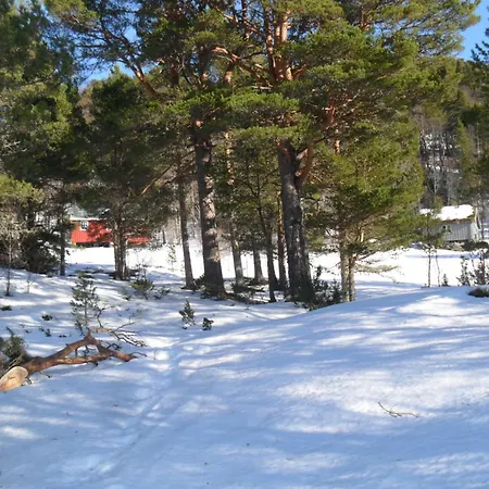 Σπίτι διακοπών Orset Setra - Back To Basic - With Amazing View Torvikbukt